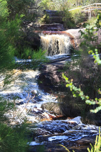 Fernhook Falls, Walpole Wilderness Area