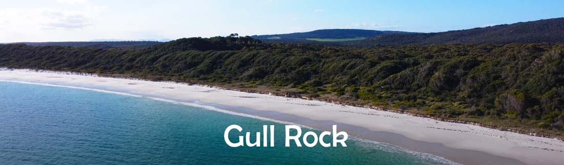  gull rock beach banner