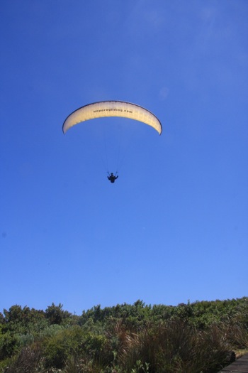 Hang Gliding at West Cape Howe
