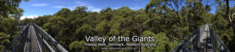 Valley of the Giants Treetop Walk